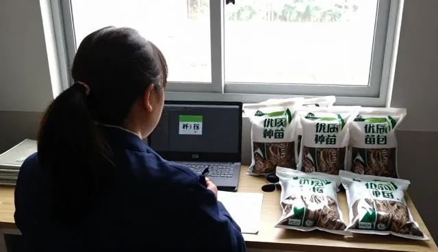 种苗选型中产品性能的多维考量